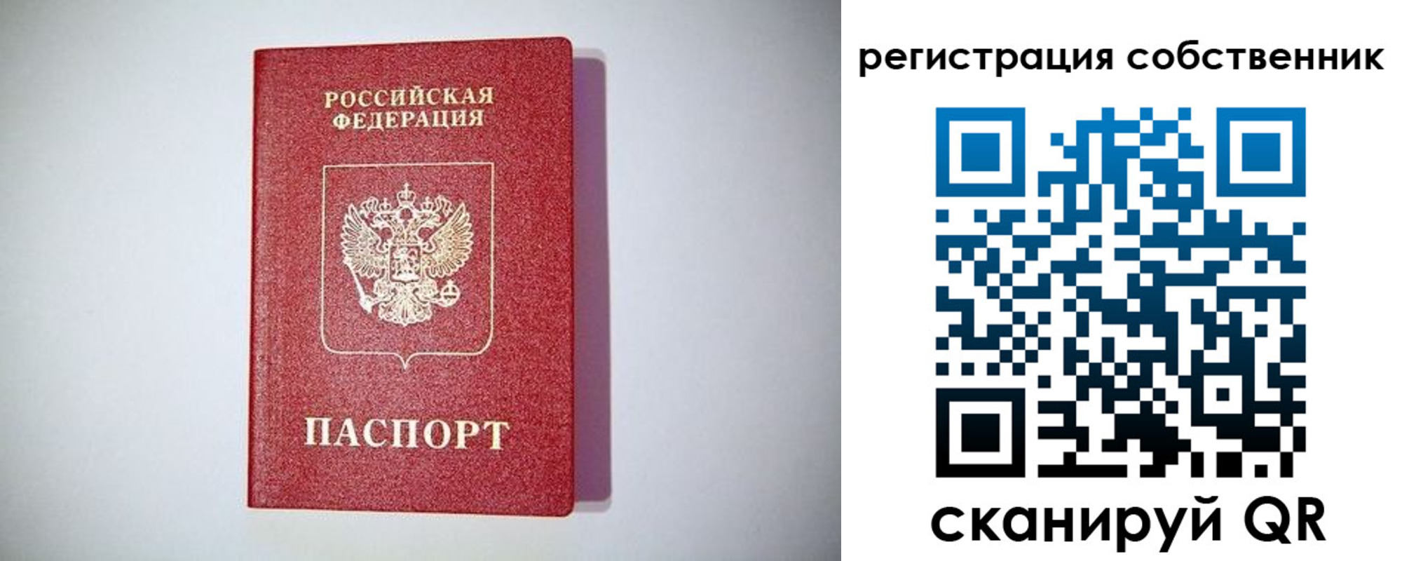 временная регистрация для школы в Купино